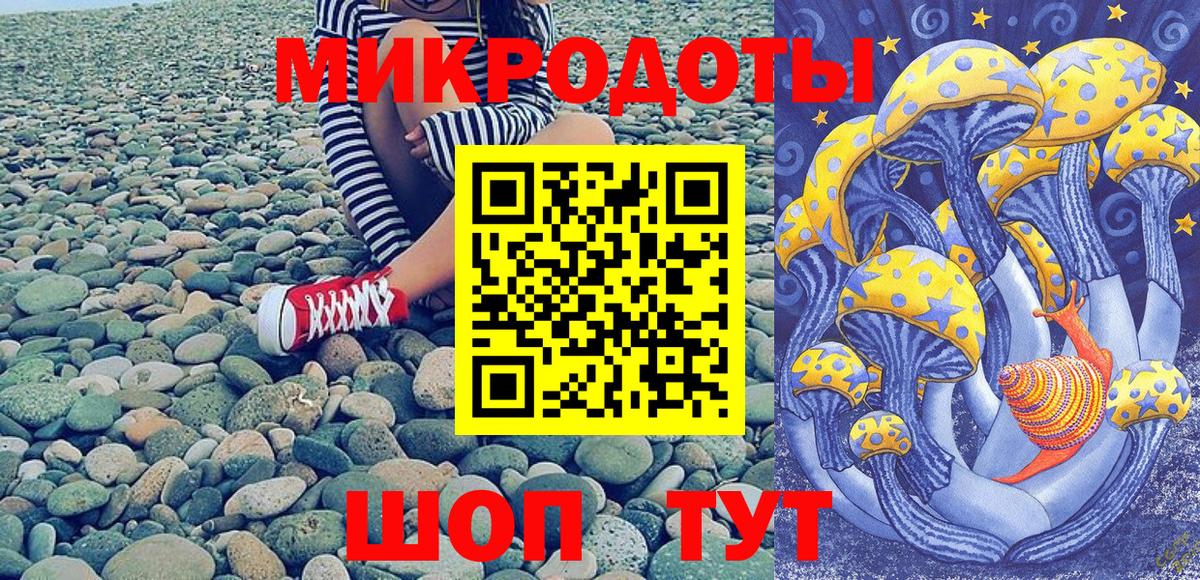 Гатчина  магазин    Вход с VPN  Псилоцибиновые грибы Psilocybine cubensis 