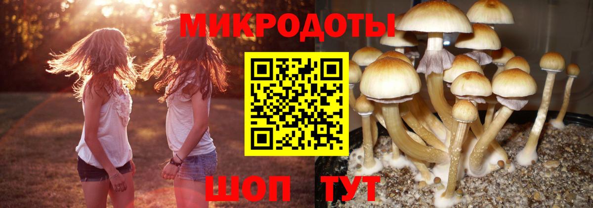 Псилоцибиновые грибы ЛСД Гатчина